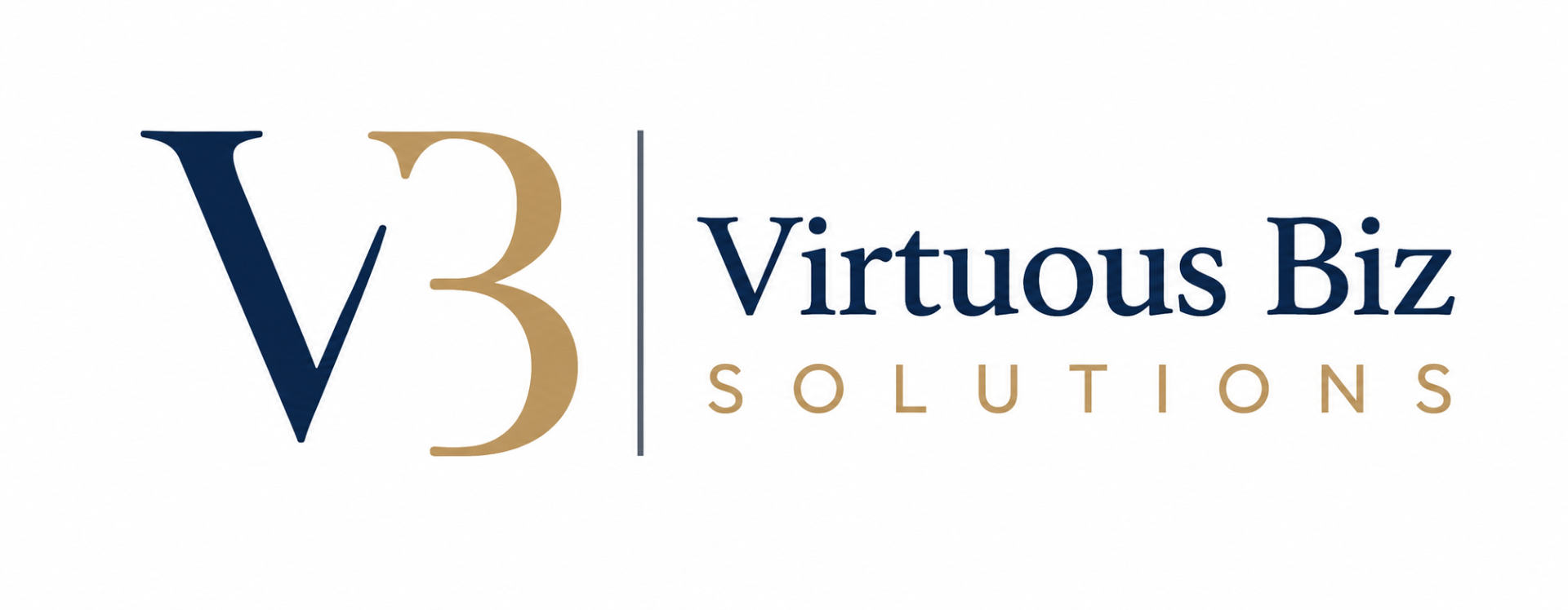 Virtuous Biz Solutions